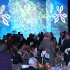 Crowd Arrives.jpg